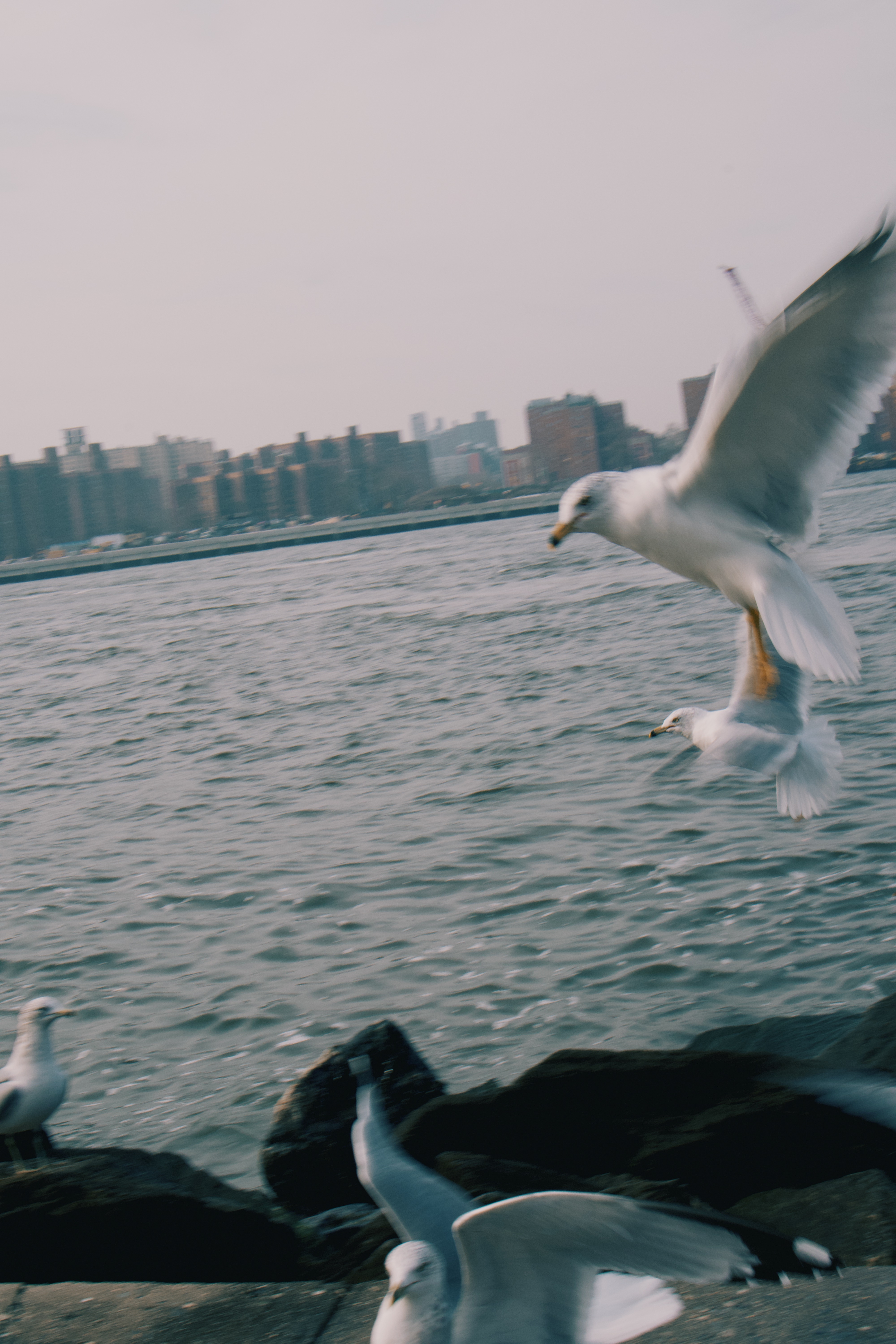 NYC · March 2026