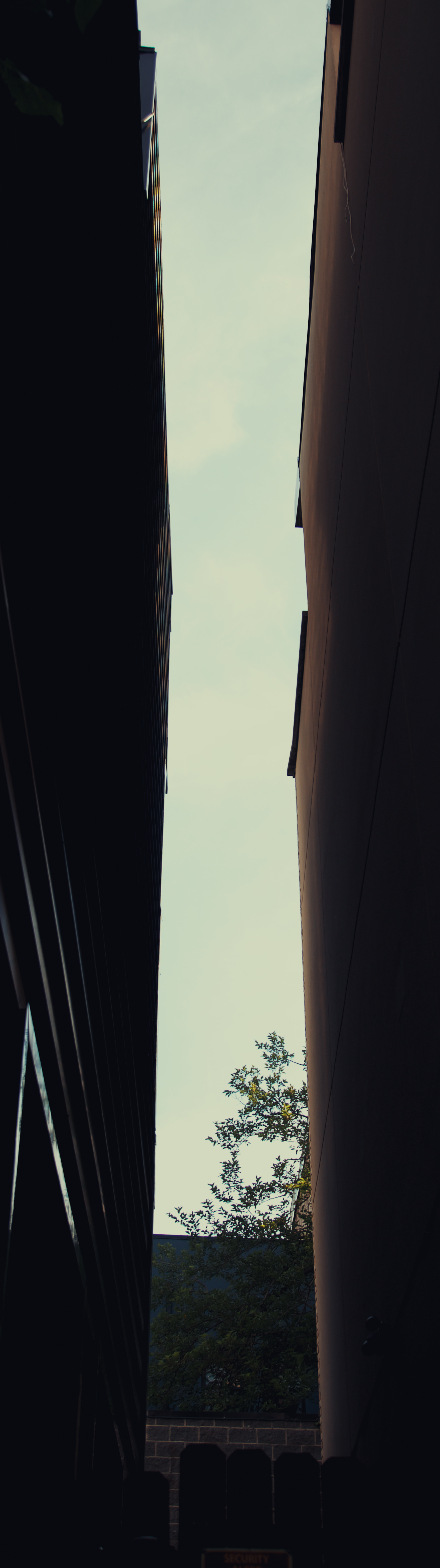 1K8A0050