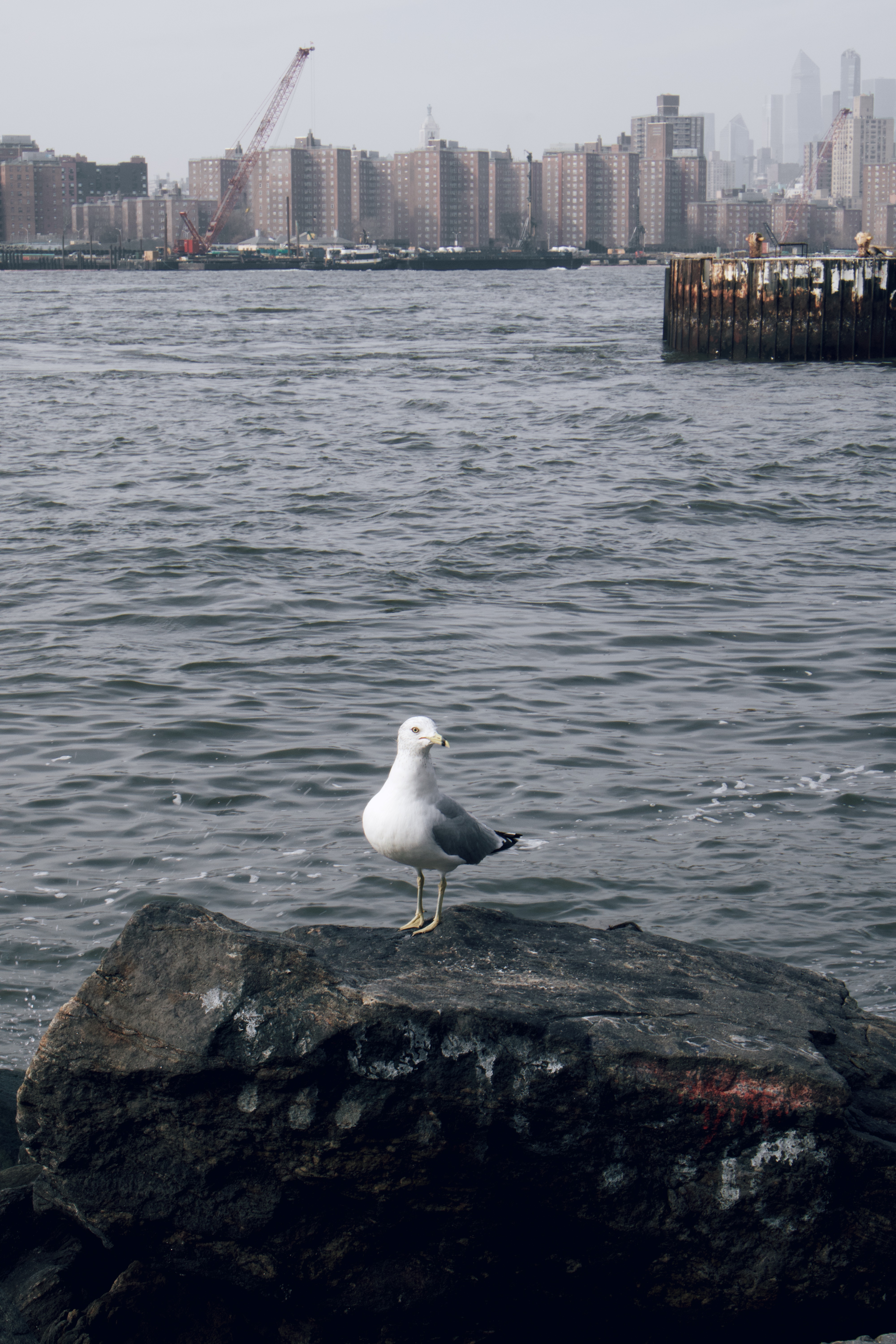 NYC · March 2026